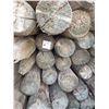 Image 2 : 145X THE BID PRICE - Bundle of (145) treated fence posts - 4" x 5'