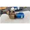 Image 1 : LARGE SPA PUMP