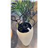 Image 2 : 2 PLANTERS WITH ARTIFICIAL FERN AND DECORATIVE STICKS