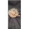 Image 2 : PUFFER FISH TAXIDERMY