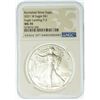Image 2 : 2021-W Burnished Type 2 Silver Eagle NGC MS-70