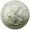 Image 3 : 2021-W Burnished Type 2 Silver Eagle NGC MS-70