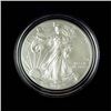 Image 1 : 2019-W Burnished Silver Eagle in OGP