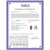 Image 2 : Genuine 15.1 ctw Amethyst Earrings 14KT Rose Gold - REF-59M6T