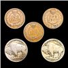 Image 2 : 1882-1918 1C Indian Head, 5C Buffalo Set of 5