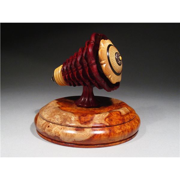Jon Sauer | Captive Spin Top