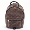 Image 1 : Louis Vuitton Brown Monogram Canvas Palm Springs PM Backpack