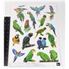 NEW PACKAGE OF WALL STICKERS PARROTS