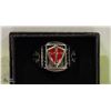 Image 1 : KNIGHTS TEMPLAR MENS RING 316L