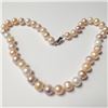 Image 1 : BZ957-17 SILVER FRESH WATER PEARL 17" NECKLACE