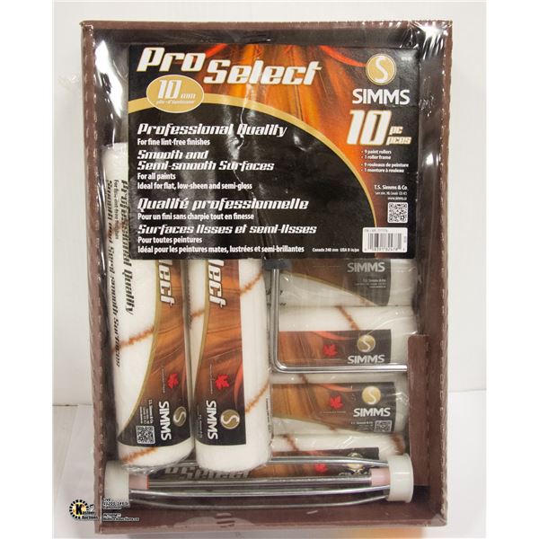 PROFESSIONAL 10 PC PAINTING SET