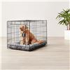Image 5 : NEW AMAZON BASICS 36" FOLDING METAL DOG CRATE