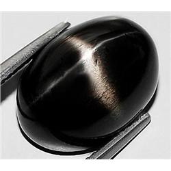 9.23ct. Impressive Cabochon Natural Top Black Star Garnet RETAIL $1175 (GEM-3566)