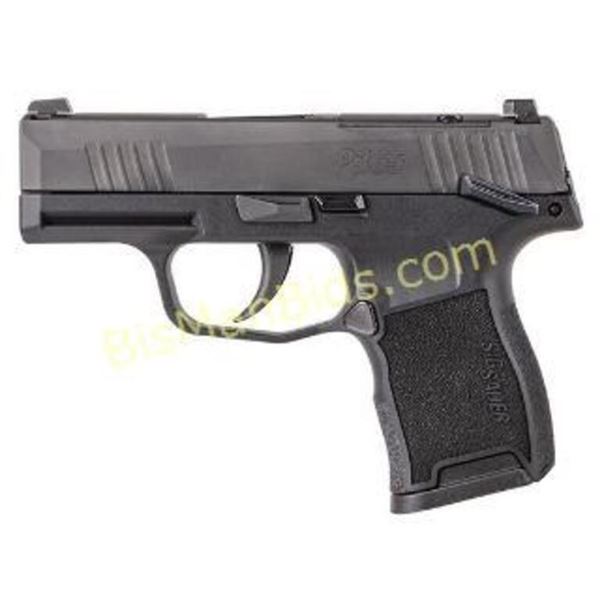 SIG P365 380ACP 3.1" (2) 10RD MS BLK