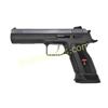 Image 1 : EAA TANFO WITNESS P DASA MATCH 9MM 4.75" AS 19RD