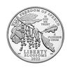 Image 2 : 2022 $100 Platinum Proof Coin Freedom of Speech