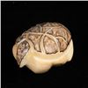 Image 3 : Zuni Carved Tagua Nut Turtle Fetish