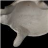 Image 8 : Acoma Pottery Turtle by I. Castillo