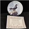 Image 8 : 6 M. Knowles China Co. Collector Plates
