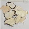 Image 2 : 7 Rabbit Pelts