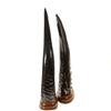Image 3 : Water Buffalo Horn Pair (CLB-136)