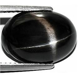 6.51ct. Exchanting Cabochon Natural Top Black Star Garnet RETAIL $850 (GEM-3202)