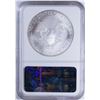 Image 2 : 2010 $1 American Silver Eagle NGC MS70 Early Releases