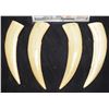 Image 1 : DINOSAURS TV SHOW PRODUCTION DINO TEETH