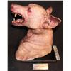 Image 3 : I AM LEGEND SCREEN MATCHED HERO ANIMATRONIC VAMPIRE DOG ON STAND