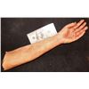 Image 2 : SILICONE SEVERED ARMATURED FEMALE ARM FOR HAUNT OF INDY FILM