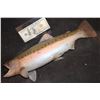 Image 2 : ZZ-CLEARANCE TROUT SOLID SILICONE FISH PROP FROM UNKNOWN PRODUCTIONS