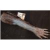 Image 2 : X-MEN FIRST CLASS BEAST HERO ARM WITH ACRYLIC CLAWS SCREEN USED SUPER HERO