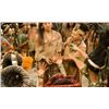 Image 3 : APOCALYPTO MAYAN LOT OF 3 MID-CASTE BEADED NECKLACES B SCREEN USED