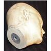Image 2 : BATMAN & ROBIN CHRIS O'DONNELL LIFE CAST USED ON CHARACTER MOCK UP SUPER HERO