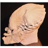 Image 2 : PREDATOR FULL HEAD APPLIANCE WITH JAWS 1