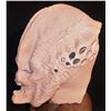 Image 2 : PREDATOR FULL HEAD APPLIANCE WITH JAWS 2