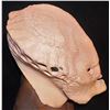 Image 3 : PREDATOR FULL HEAD APPLIANCE WITH JAWS 3
