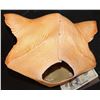 Image 2 : CATS CUTE SEXY FELINE FULL HEAD LATEX MASK 5