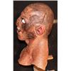 Image 2 : BRIGHT ORC BROWN FULL HEAD MASK WITH TUSKS 1 OF ONLY 2