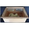 Image 8 : ALTERED STATES SCREEN USED DICK SMITH APPLIANCE WILLIAM HURT IN MUSEUM CASE