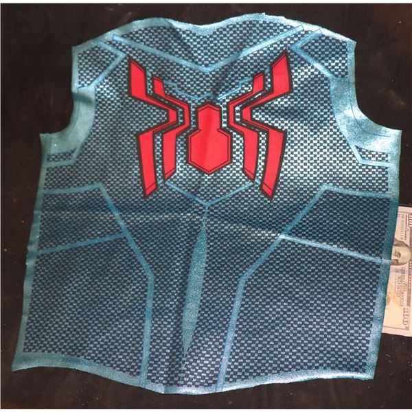 SPIDER-MAN ELECTRIC BLUE BACK PANEL 2 FIRST LOOK SUPER HERO