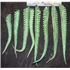 Image 1 : TENTACLES OCTOPUS GREEN ALIEN COMPLETE SET OF 8