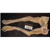 Image 2 : THE X FILES CAVEMAN MUMMY ARMS MUTATED BY ALIEN