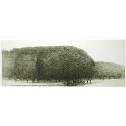 Harold Altman "Path 5"