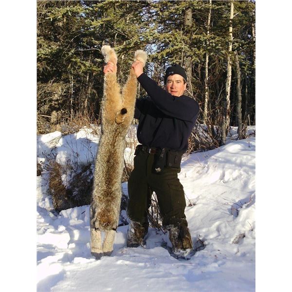 7-Day Predator Hunt - Donated by Coke Wallace and Midnight Sun Safaris