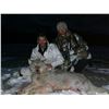 Image 4 : 7-Day Predator Hunt - Donated by Coke Wallace and Midnight Sun Safaris