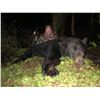Image 2 : 10-Day Yacht-Based Brown/Black Bear Hunt with Pat and Nicole Reeve of Driven TV - Donated by Keegan 