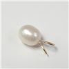 Image 1 : 14K Yellow Gold Fresh Water Pearl Pendant, Suggested Retail Value $200