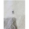 Image 5 : Martha Stewart Bath Rug (61cm x 91cm)