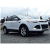 Image 8 : C6 --  2013 FORD ESCAPE SE AWD, White, 193531 KM's